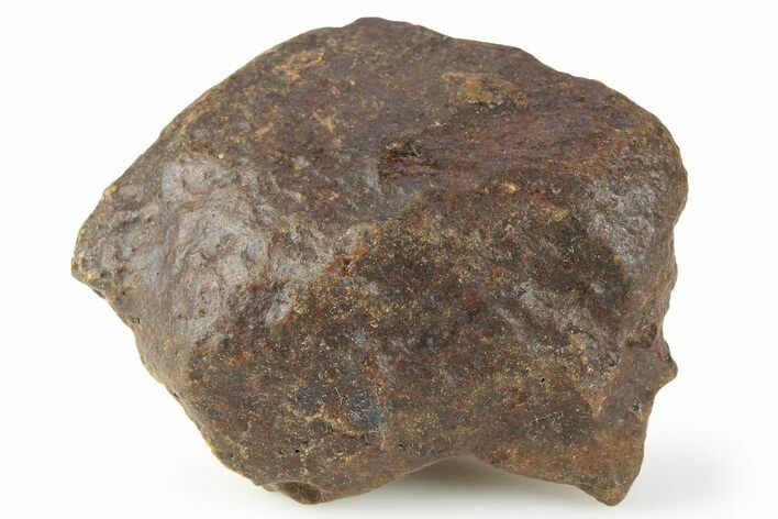 Chondrite Meteorite ( g) - Western Sahara Desert #256585